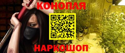 гашик Лесосибирск