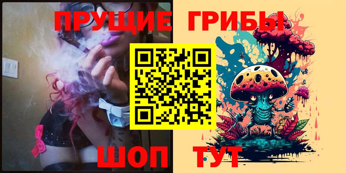 где купить наркоту  Галлюциногенные грибы Psilocybe  Губкинский  Вход с VPN  Псилоцибиновые грибы MAGIC MUSHROOMS 