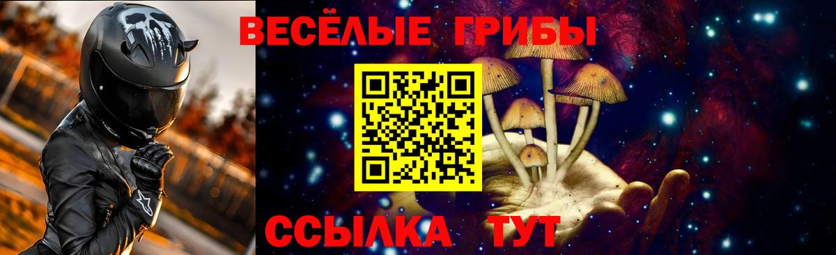 Псилоцибиновые грибы GOLDEN TEACHER Губкинский